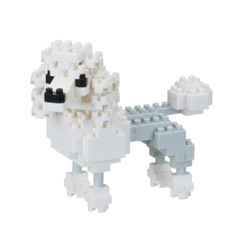 Poodle NBC-262